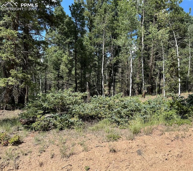 96 Insmont Ln, Florissant CO, 80816 land for sale