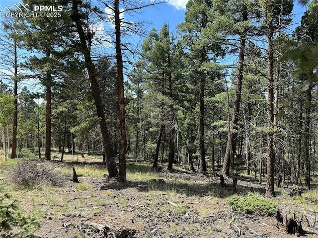 671 Pinewood Rd, Florissant, CO 80816