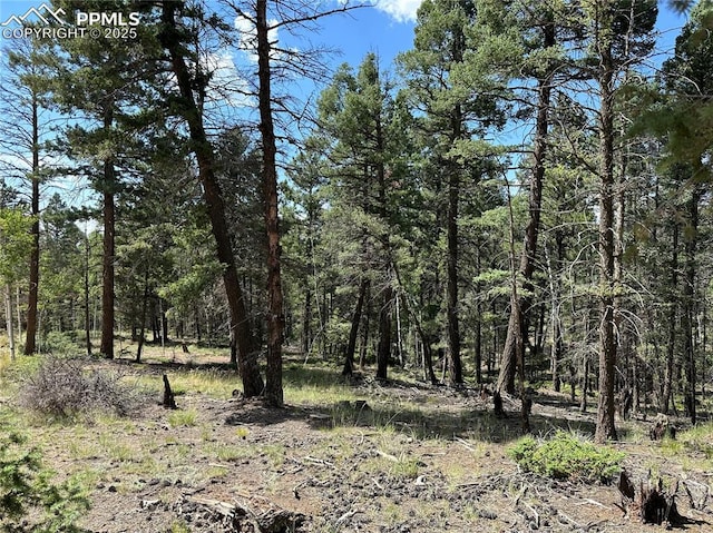 671 Pinewood Rd, Florissant CO, 80816 land for sale