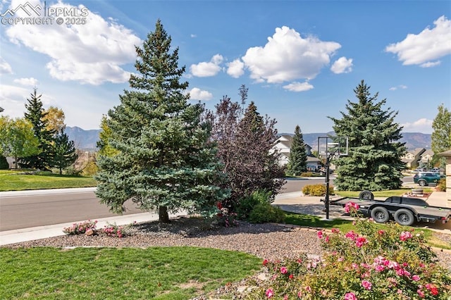 view of home's community featuring a mountain view, a yard, and basketball court