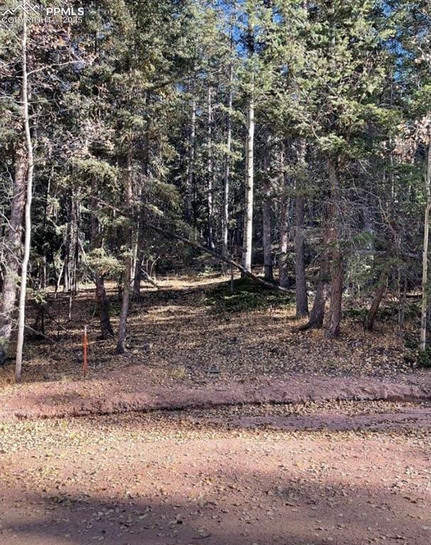 222 Banner Trl, Florissant CO, 80816 land for sale