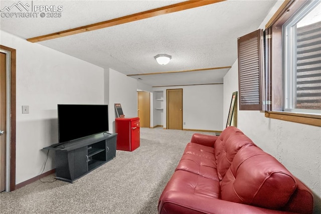 carpeted living room with a textured ceiling