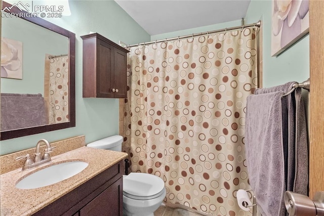 bathroom with toilet and vanity