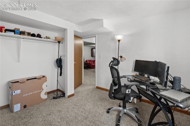 carpeted office space with a textured ceiling