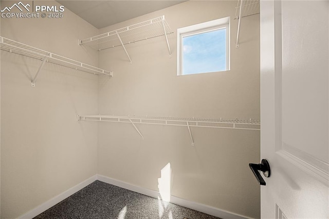 view of spacious closet