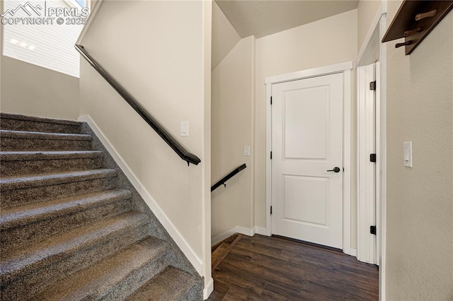 staircase featuring hardwood / wood-style floors