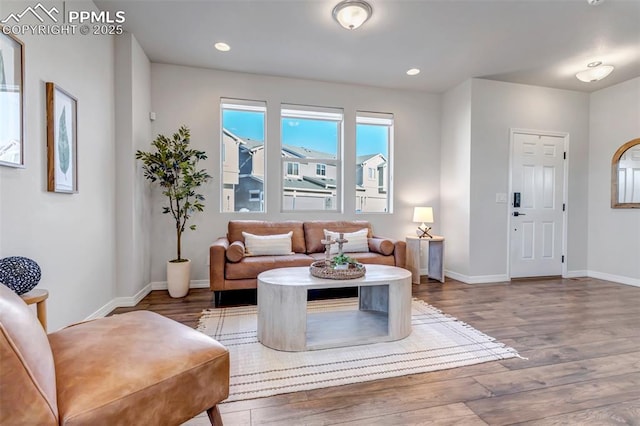 living room with hardwood / wood-style flooring