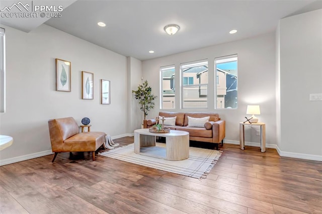 living area featuring hardwood / wood-style floors