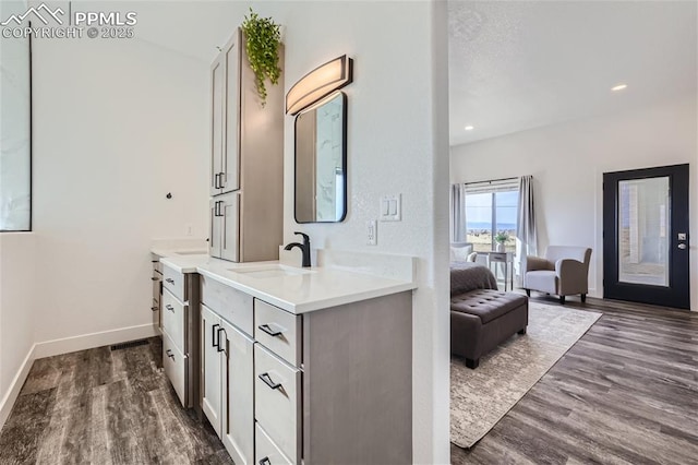 bathroom with wood-type flooring and vanity