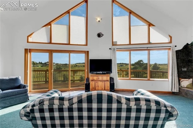 carpeted living room with a high ceiling