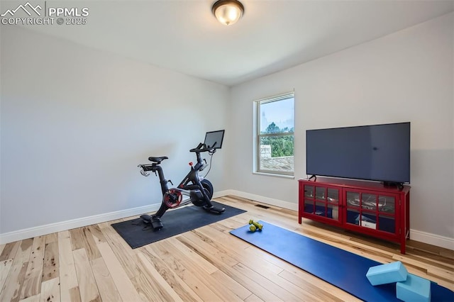 exercise area featuring wood-type flooring