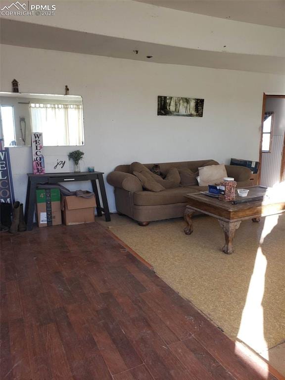 living room featuring hardwood / wood-style floors