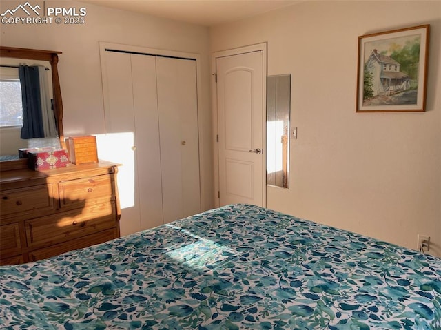 bedroom featuring a closet