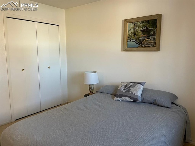 bedroom featuring a closet