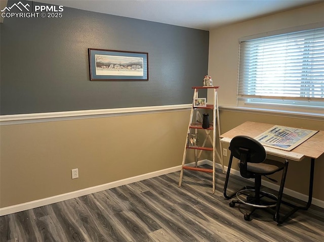 office area featuring dark hardwood / wood-style floors