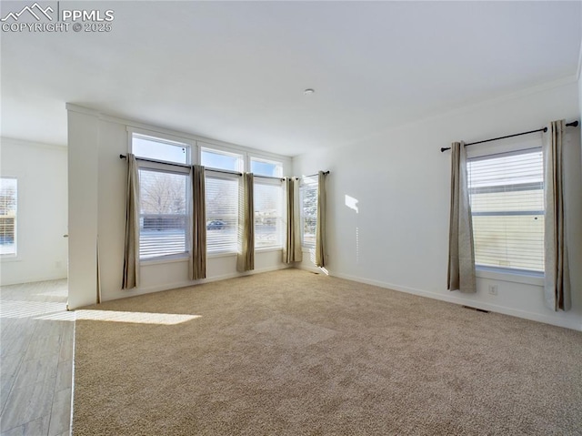 empty room with light colored carpet and ornamental molding