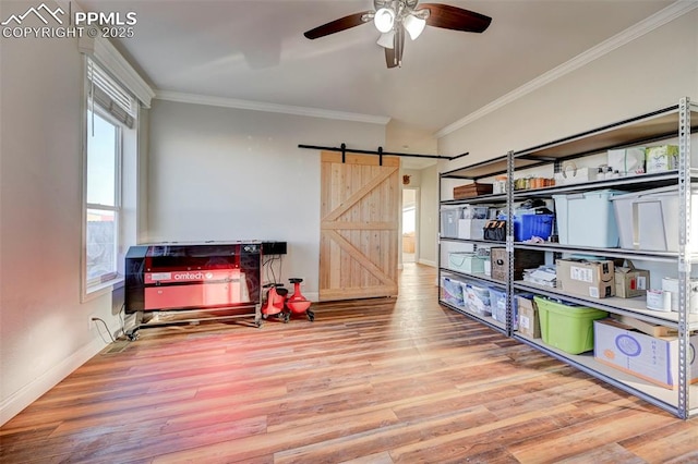 storage area featuring ceiling fan