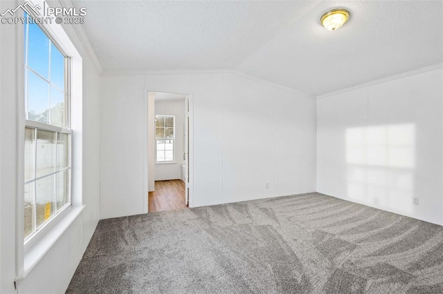 carpeted empty room featuring crown molding, lofted ceiling, and a textured ceiling