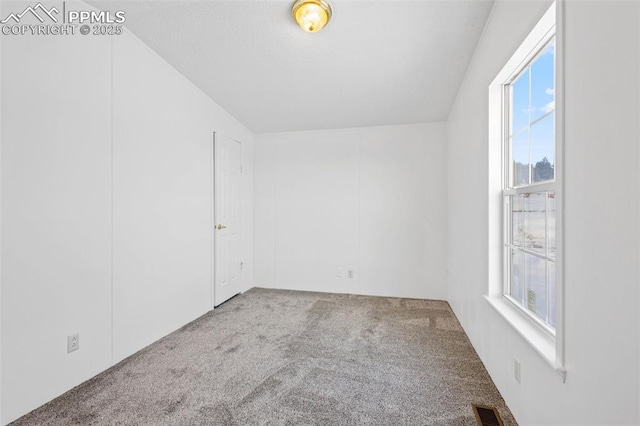 carpeted spare room featuring a healthy amount of sunlight