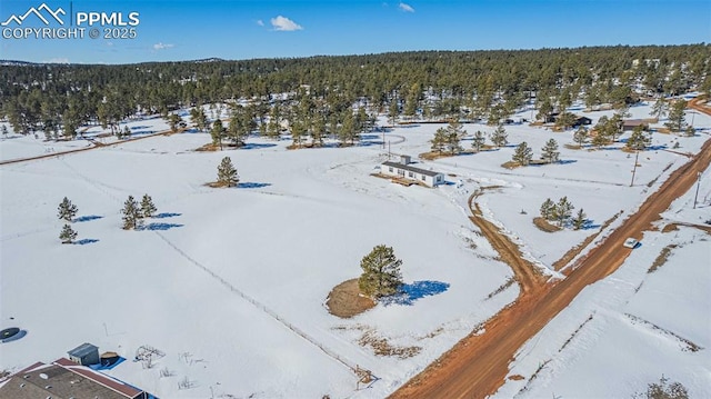 view of snowy aerial view