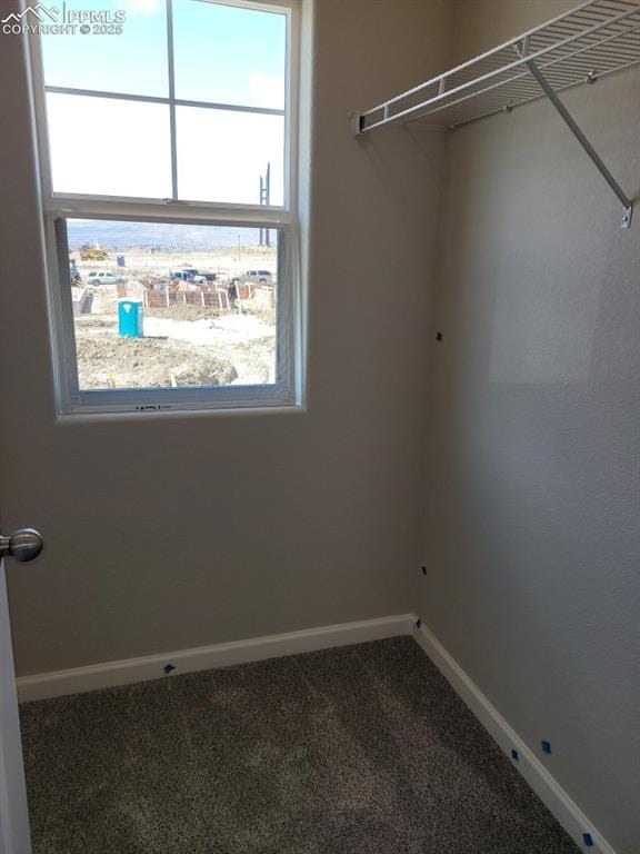 walk in closet with carpet floors