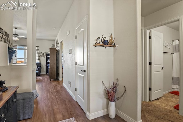 hallway with hardwood / wood-style flooring