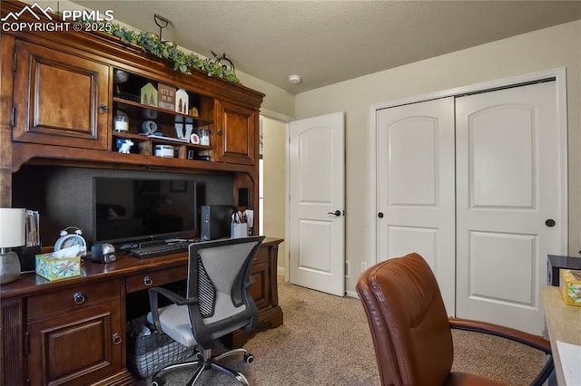 view of carpeted home office