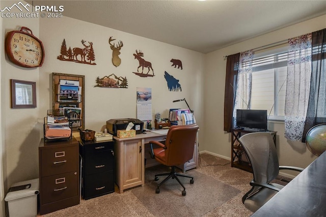 office space with light carpet