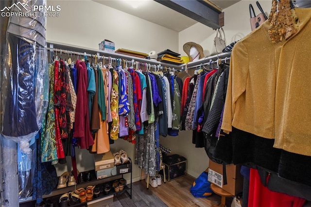 spacious closet with hardwood / wood-style flooring