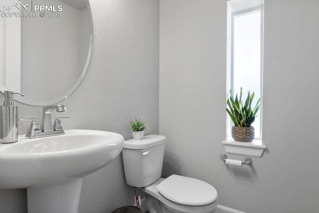 bathroom featuring toilet and sink