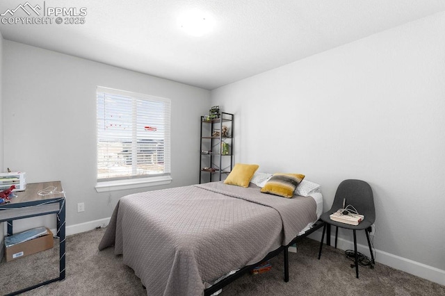 bedroom with carpet floors