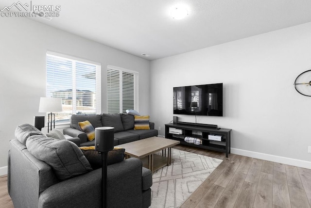 living room with wood-type flooring