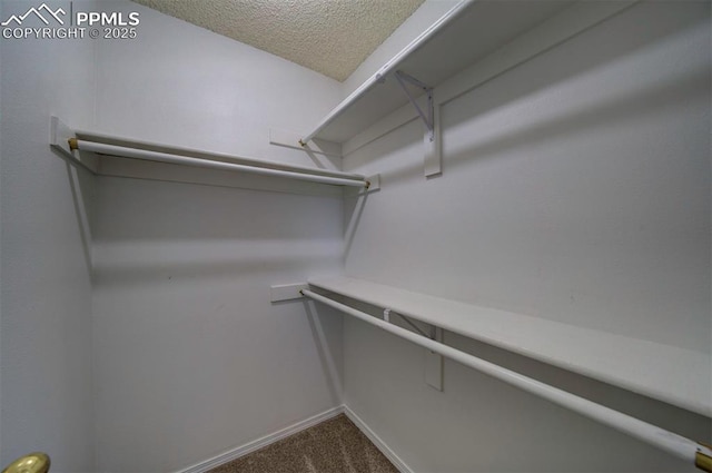 walk in closet with carpet