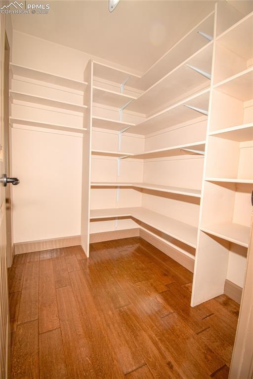 spacious closet with wood-type flooring