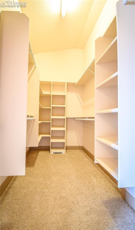 spacious closet featuring carpet