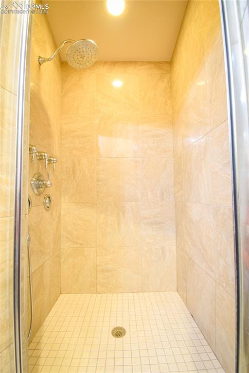 bathroom with an enclosed shower