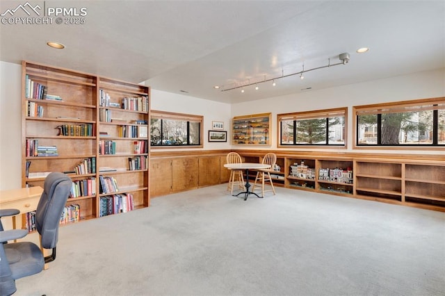 home office featuring carpet floors