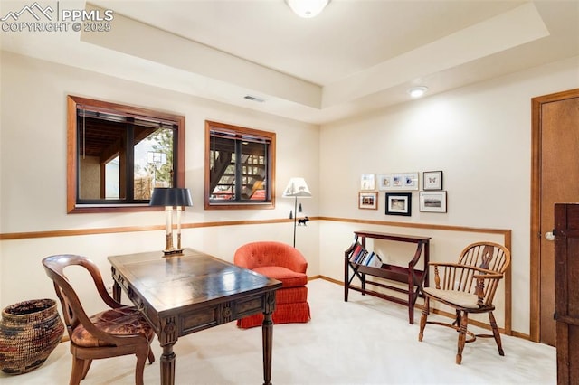 sitting room featuring a raised ceiling and carpet