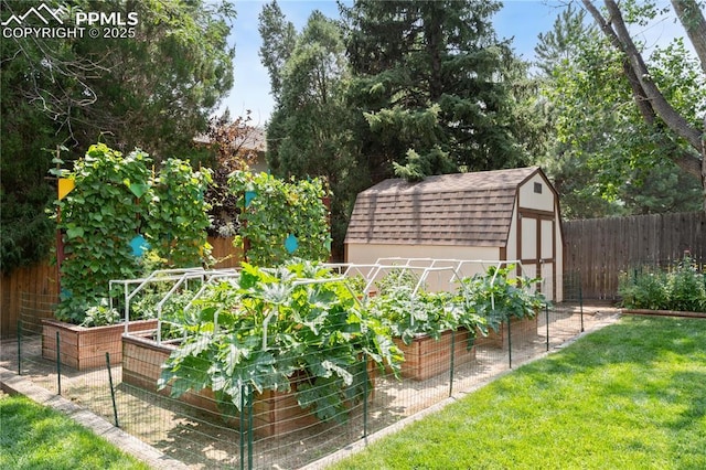 view of yard featuring a storage shed