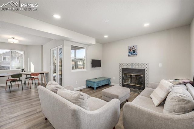 living room featuring wood-type flooring and a tiled fireplace