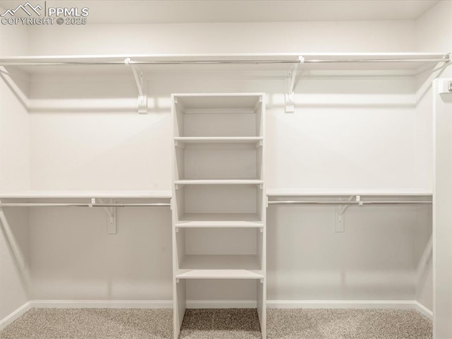 spacious closet with carpet flooring