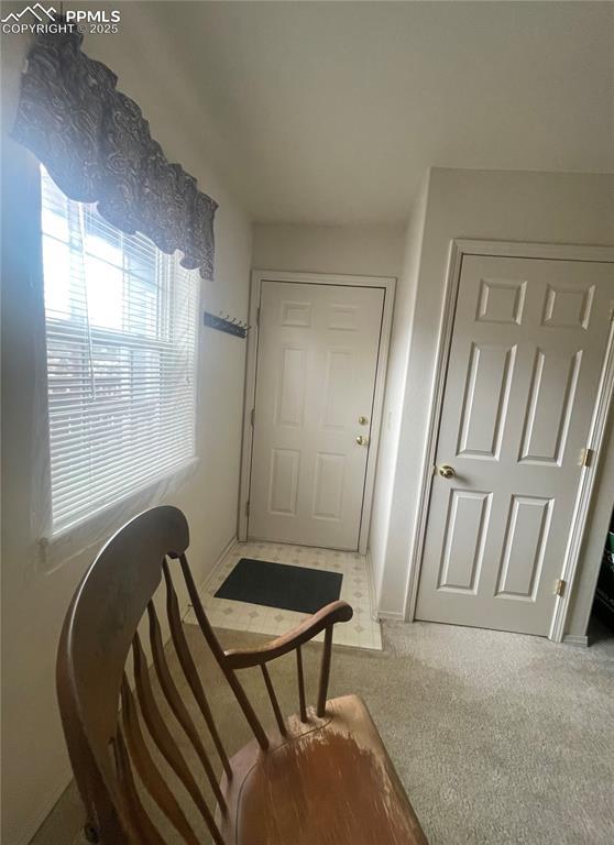 living area with light colored carpet