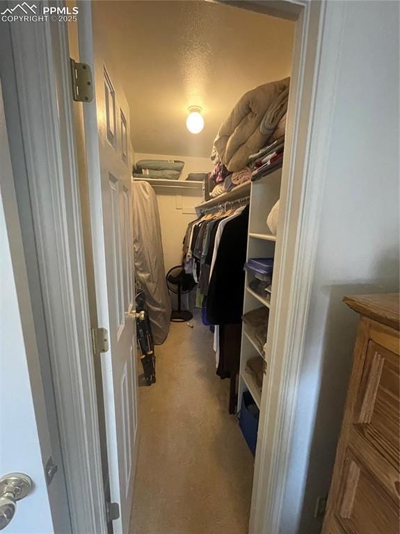 spacious closet featuring light carpet