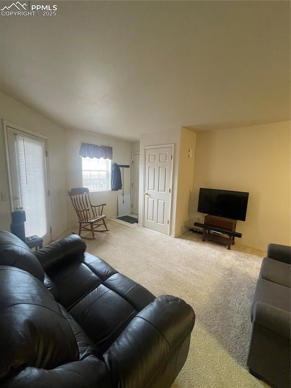 living room featuring carpet flooring