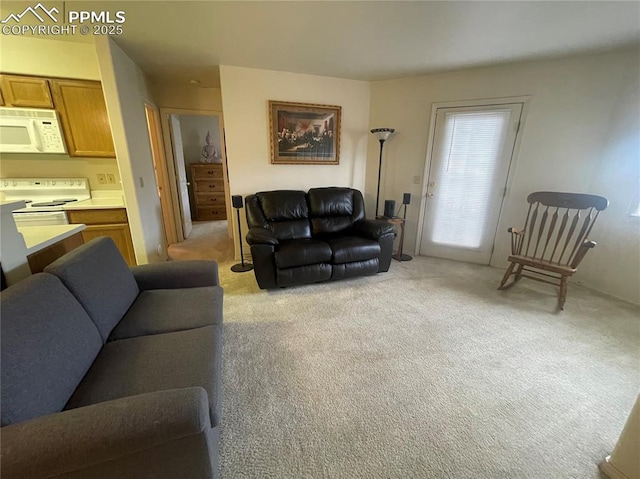 living room featuring light colored carpet