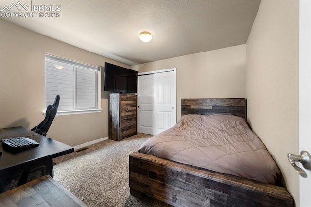 bedroom featuring carpet and a closet