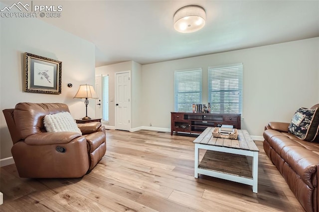 living room with light hardwood / wood-style flooring