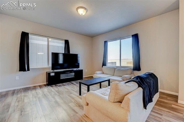 living room featuring light hardwood / wood-style flooring