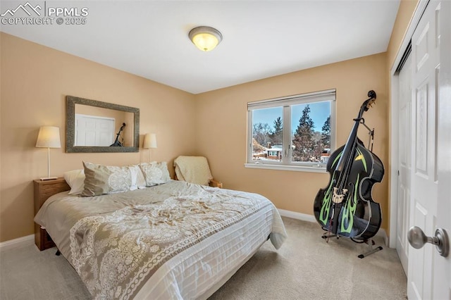 bedroom with a closet and light carpet