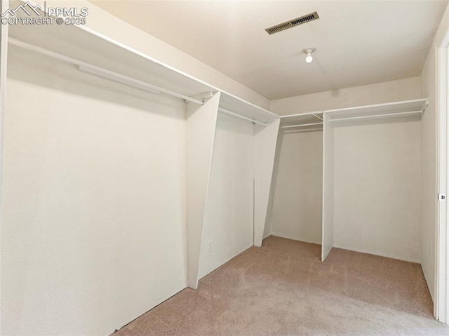 walk in closet with light colored carpet